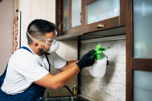 Best Ant Control Services  in Lincoln, AL