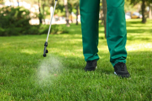 Best Mosquito Control Services  in Lincoln, AL
