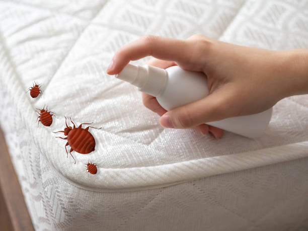 Best Pest Removal Services  in Lincoln, AL