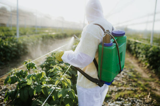 Best Affordable Exterminators  in Lincoln, AL